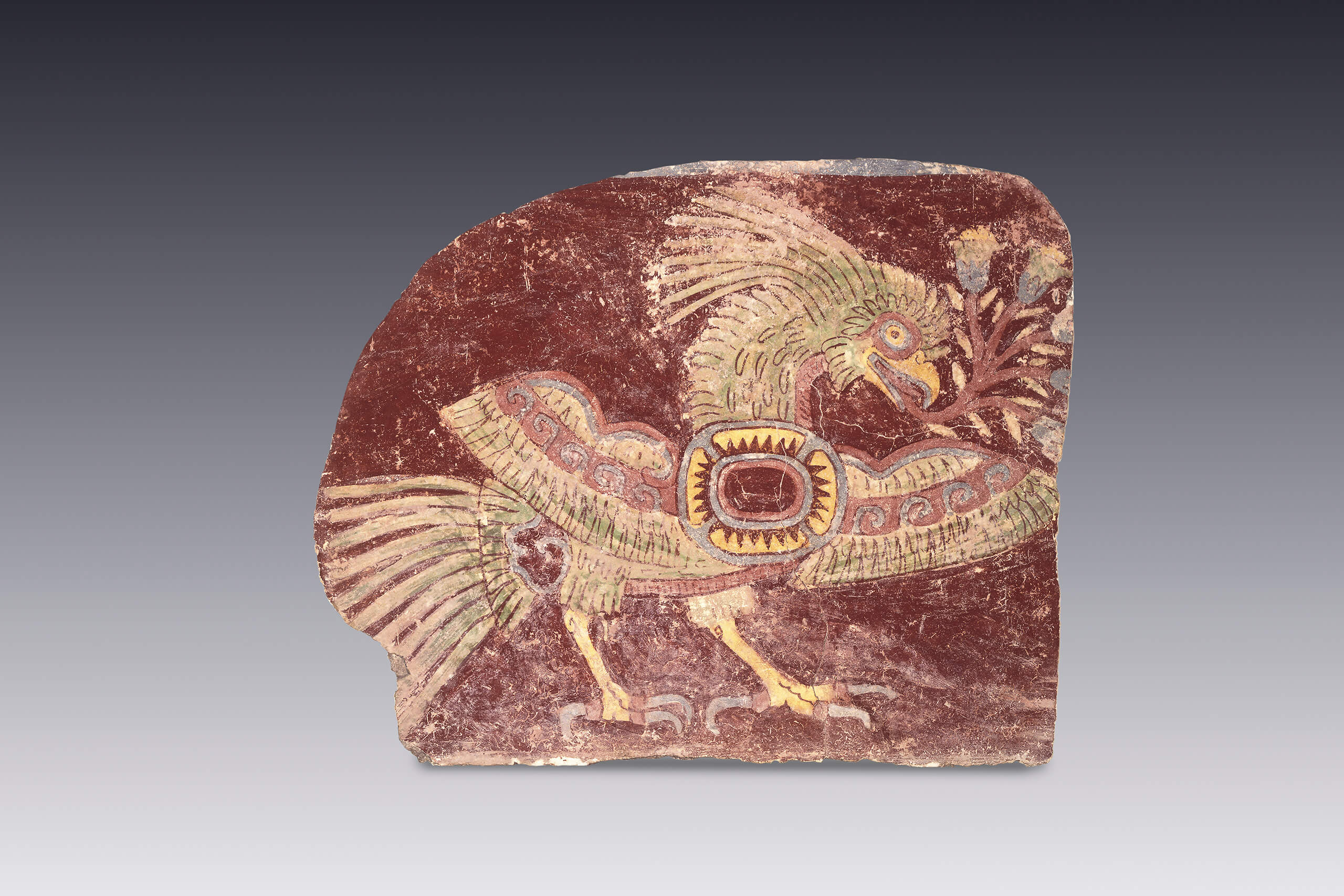 Quetzal de Teotihuacan (Foto del Museo Amparo)