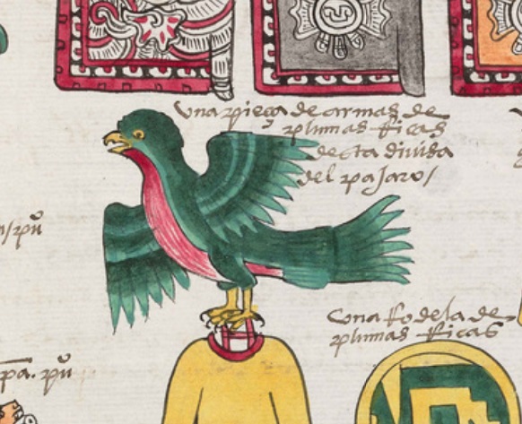 Detalle de un quetzal en el folio 46 del Códice Mendocino 